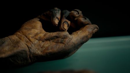 Hand of Old Croghan Man remains. (2023 BOG PEOPLE SEASON ONE INC.)