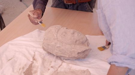 Once out of the ground, team members use brushes to clean the unearthed stone head. (Windfall Films/Alex Collinge)