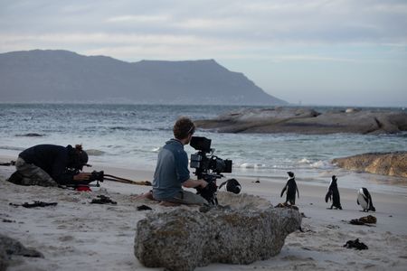 Cameraman Russell Bergh and Director of Photography Howard Bourne film adult African penguins on a beach in Simon's Town.  (credit: National Geographic/Rob Slater)