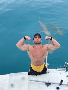 Extreme athlete Ross Edgley gets ready to dive with tiger sharks for the first time. His tiger challenge will be to fast and feast like a tiger. (National Geographic/Nathalie Miles)