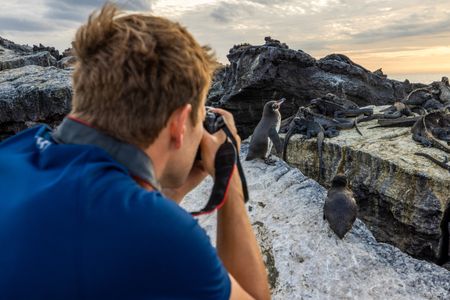 Bertie Gregory photographing Galapagos penguins with marine iguanas in Galapagos Islands.  (credit: National Geographic/Zubin Sarosh)