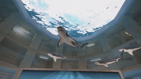 Various species of GFX sharks swimming across the ceiling of the shark studio lab. (National Geographic)