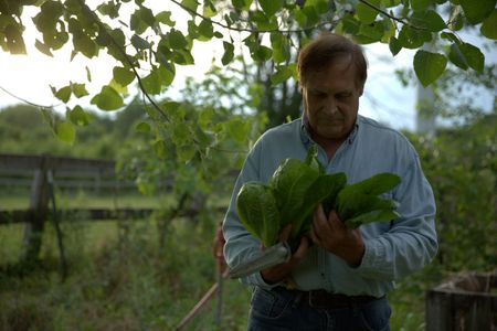 Tommy Thompson's attorney Rick Robol works in his garden in an made during the production of "Cursed Gold: A Shipwreck Scandal." In 1989, maverick scientist Tommy Thompson stuns the world by recovering three tons of gold from a shipwreck deep in the Atlantic Ocean. What follows is a 30-year story of adventure, deception, and personal turmoil, taking him from venerated celebrity to infamous fugitive, and finally a defiant prisoner who refuses to give up his gold. (National Geographic)