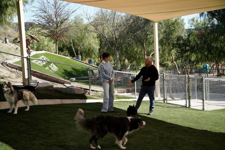 Isabella and Cesar talk in the Serengeti Dog Park at the Dog Psychology Center. (National Geographic)