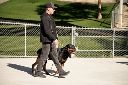 Johnnie walks with Beast on a leash. (National Geographic)