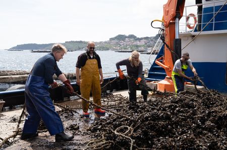 Gordon Ramsay (left) and Tilly Ramsay (second from right) assist the crew on the mussel vessel. (National Geographic/Justin Mandel)
