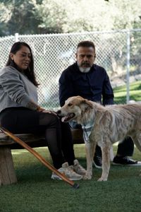 Victoria and Adrian interacting with Maverick. (National Geographic)