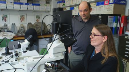 Mark Altaweel and Anke Marsh work together in their laboratory at UCL in London, England. (Windfall Films)