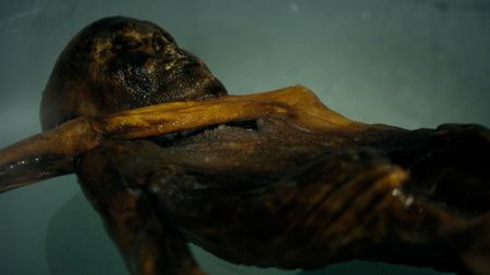 Remains of Otzi the Iceman. (2023 BOG PEOPLE SEASON ONE INC.)