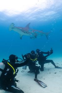Ultra athlete Ross Edgley and shark expert Mike Heithaus with the camera team filming off Bimini Island with great hammerheads. (National Geographic/Nathalie Miles)