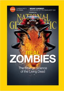 Anand's image of a parasite-infected ladybug on the cover of National Geographic Magazine. When a female wasp stings a ladybug, it leaves behind a single egg. After the egg hatches, the larva begins to eat its host from the inside out. When ready, the parasite emerges and spins a cocoon between the ladybug’s legs. Though its body is now free of the tormentor, the bug remains enslaved, standing over the cocoon and protecting it from potential predators.