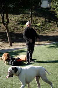 Cesar at the Dog Psychology Center. (National Geographic)