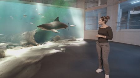 Dr. Diva Amon looking at the GFX Bull Shark and marine life whilst being in the Shark studio lab. (National Geographic)