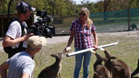 Theresa Matthews being filmed while feeding kangaroos with baby bottles. (Big Wave Productions)