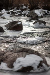 Snow covered ice on a stream.(National Geographic/Thomas Winston)