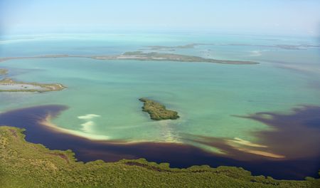 The color contrast in Florida Bay's mangrove forests is due to tannin-rich freshwater from the coastal Everglades mixing with the clearer, deeper saltwater. (credit: National Geographic/Mat Goodman)