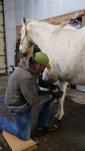 Dr. Ben Schroeder is kneeling down as he treats Big Jake the horse's left hoof. (National Geographic)