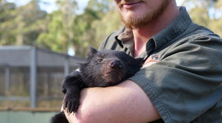 Tyler holding a tasmanian devil baby. (Big Wave Productions)