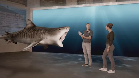 Dr. Mike Heithaus speaking with Dr. Diva Amon while analyzing a GFX Tiger shark's mouth in the shark studio lab. (National Geographic)