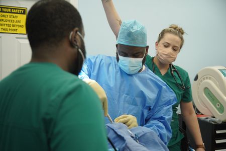 Vet tech, Jordan Howell and surgery tech, Paul Johnson, assist Dr. Hodges in Lenny the dog's eye removal surgery. (National Geographic for Disney/Sean Grevencamp)