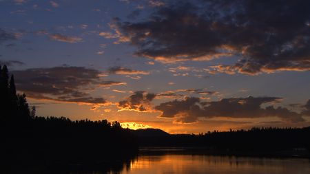 Yellowstone National Park. (Landis Wildlife Films/Bob Landis)