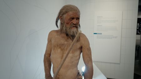 Reconstruction of Otzi. (2023 BOG PEOPLE SEASON ONE INC.)