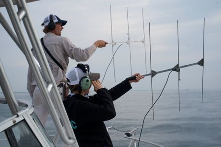 Capt. Greg Metzger and Dr. Megan Winton both use a VHF receiver on the boat as the team desperately try to get a signal from Liberty's tag. (National Geographic/Brandon Sargeant)