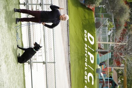 Cesar with Shadow in the dog park. (National Geographic)