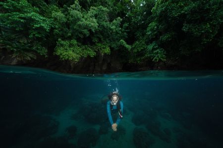 Dr. Alex Schnell descending on a dive in the Lembeh Strait to find and observe the Coconut octopus (Amphiocotpus marginatus).  (National Geographic for Disney/Craig Parry)