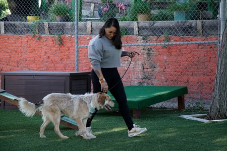 Victoria in a walking exercise with Maverick. (National Geographic)