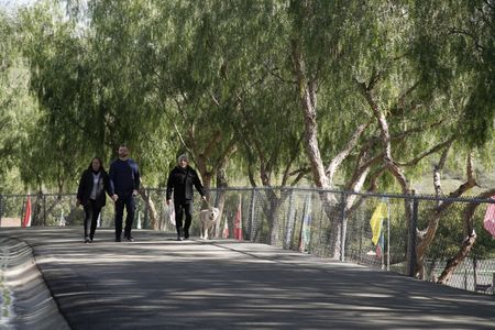 Ashley and Derek walk alongside Cesar and Sansa. (National Geographic)