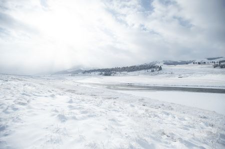 A snowy valley of Yellowstone National Park.  (National Geographic/Thomas Winston)