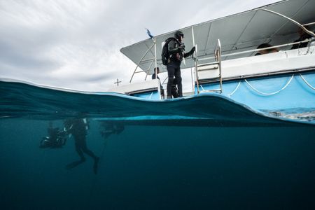 Series Director, DoP and Cinematographer Adam Geiger and Cinematographer Rory McGuinness prepare to dive and film the Coconut octopus (Amphioctopus marginatus) in Lembeh Strait. (National Geographic for Disney/Craig Parry)