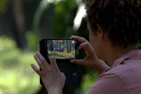 Paula Kahumbu documents one of her only sightings of the pygmy elephant in Borneo. (National Geographic for Disney/Cede Prudente)
