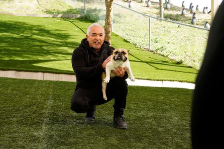 Cesar Millan talking to clients in the dog park. (National Geographic)