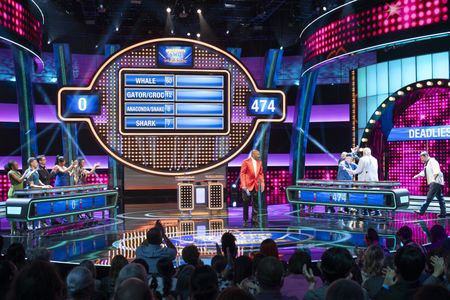 CELEBRITY FAMILY FEUD