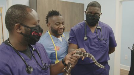 Surgery tech, Paul Johnson, and Dr. Hodges try to help vet student, Kyle Frett, overcome his fear of snakes. (National Geographic for Disney)
