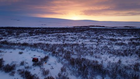 Sue Aikens cooks a ptarmigan by the fire for her dinner. (BBC Studios/Michael Cheeseman)