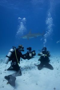 Cinematographer Duncan Brake films Ross Edgley with endangered great hammerheads. (National Geographic/Nathalie Miles)