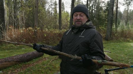 Mika holding a branch in woods. (National Geographic)