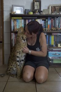 Clare and the serval sitting in front of a bookshelf. (Big Wave Productions)