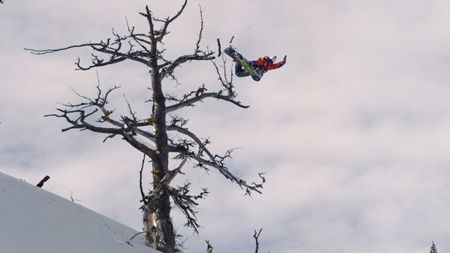 Travis Rice hits a tree branch with his snowboard as he trains in Alaska.  (photo credit: Red Bull Media House)