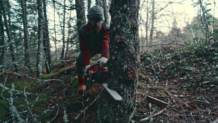 Matty cuts down lumber so he can start on the extension of his cabin. (Blue Ant Media/Tara Elwood)