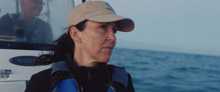 Dr. Cynthia Smith, Marine Veterinarian Laquita CPR Program Manager searching for Vaquitas near San Felipe. (photo credit: National Geographic)