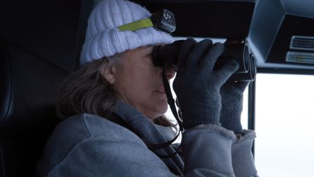 Sue Aikens searches for caribou in the tundra while they are migrating through her area. (BBC Studios/Michael Cheeseman)