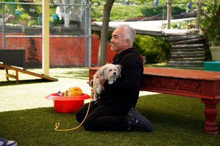 Cesar Millan talking to clients. (National Geographic)