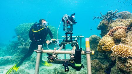 Camera Assistant, Woody Spark, setting up a special remote underwater camera system to film Day octopus (Octopus cyanea) on the Great Barrier Reef.  (photo credit: National Geographic/Adam Geiger)