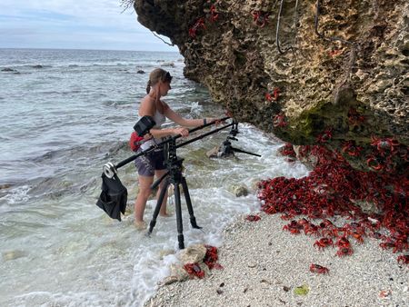 Director of Photography Frederique Olivier films Christmas Island red crabs on the shore. (National Geographic for Disney/Lara Van Raay)