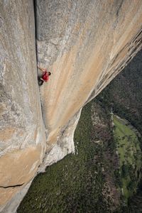 Alex Honnold free-soloing El Capitan.  (National Geographic/Jimmy Chin)