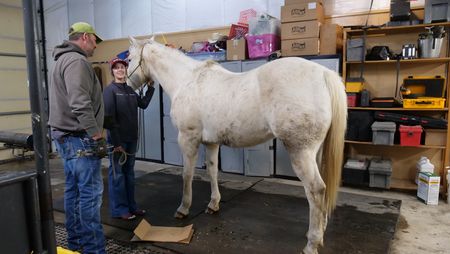 Dr. Ben Schroeder talks to handler Abbie Walbuam about Big Jake, who is having problems with his hoof. (National Geographic)